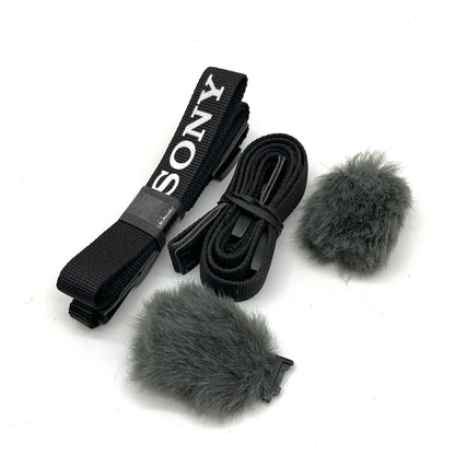 Sony ZV-E10 24.2MP Interchangeable Lens Mirrorless Vlog Camera